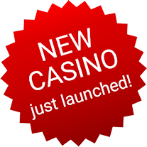 New Casino Just Launched!